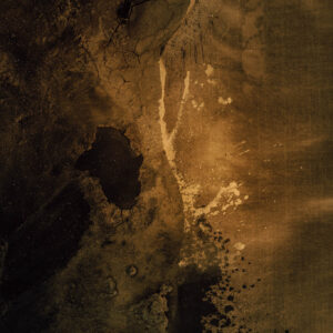 Precision Pro - Image 5